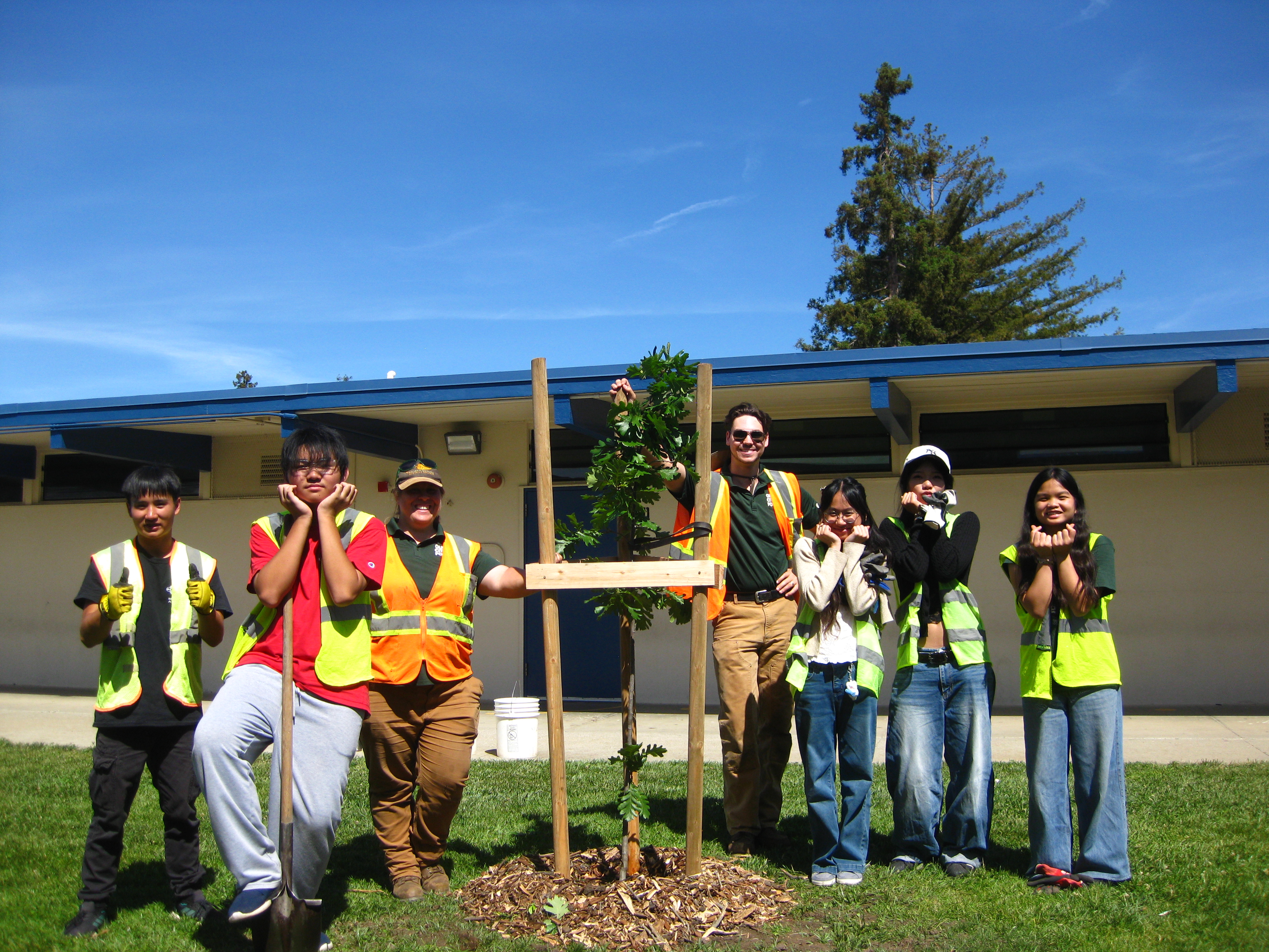 VTA Free Trees Program | VTA