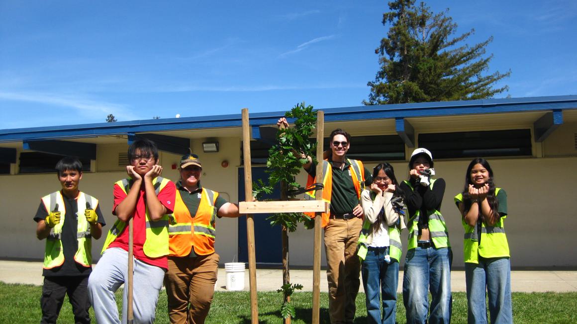 VTA Free Trees Program | VTA