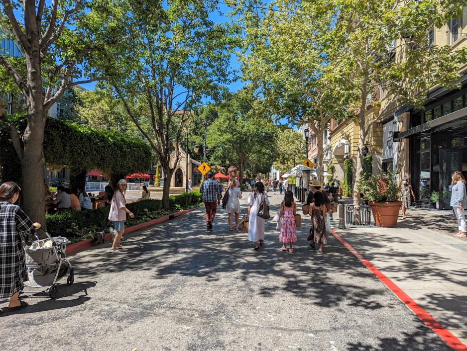 Photo of a narrow retail street closed to traffic with street trees, decorative pedestrian lighting, people walking on the street and sidewalk and shopping.