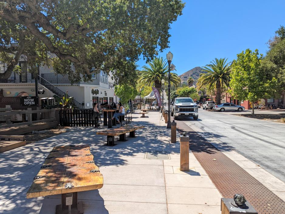 A photo of a wide sidewalk with benches, street trees, and street lights.