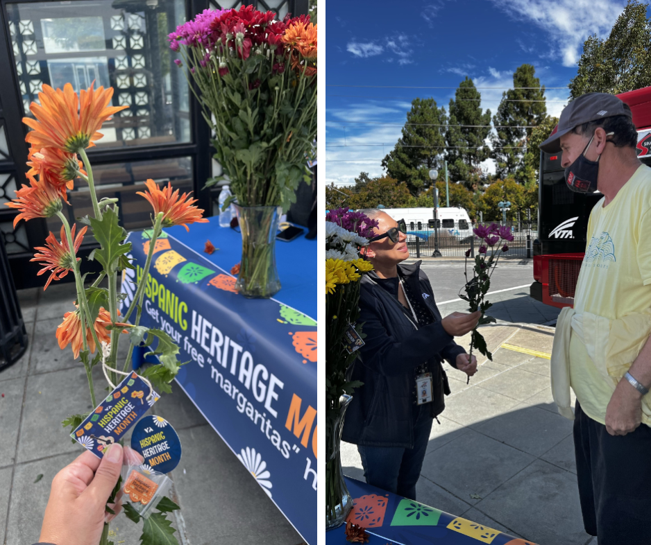 VTA Flower Giveaway